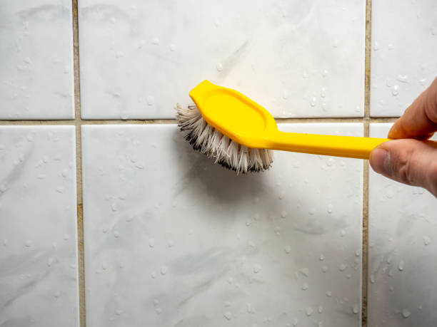 Best Emergency Mold Removal  in Mickleton, NJ
