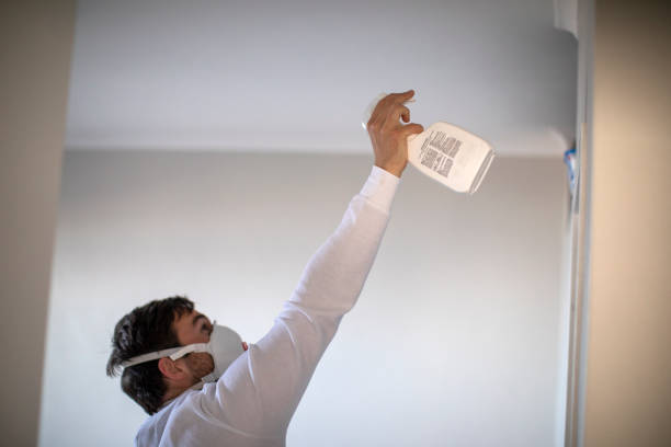 Best Mold Testing  in Mickleton, NJ