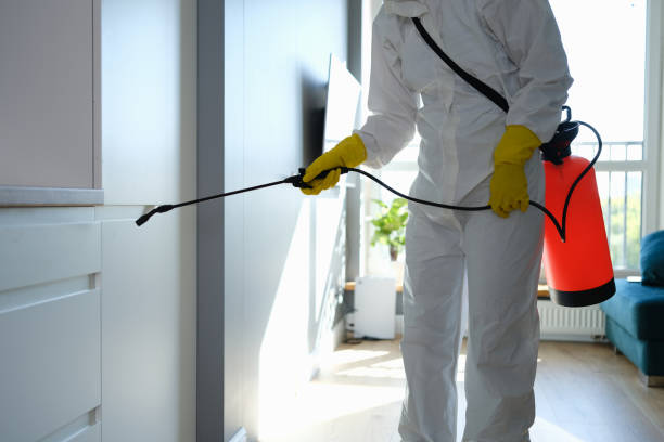 Best Crawl Space Mold Removal  in Mickleton, NJ